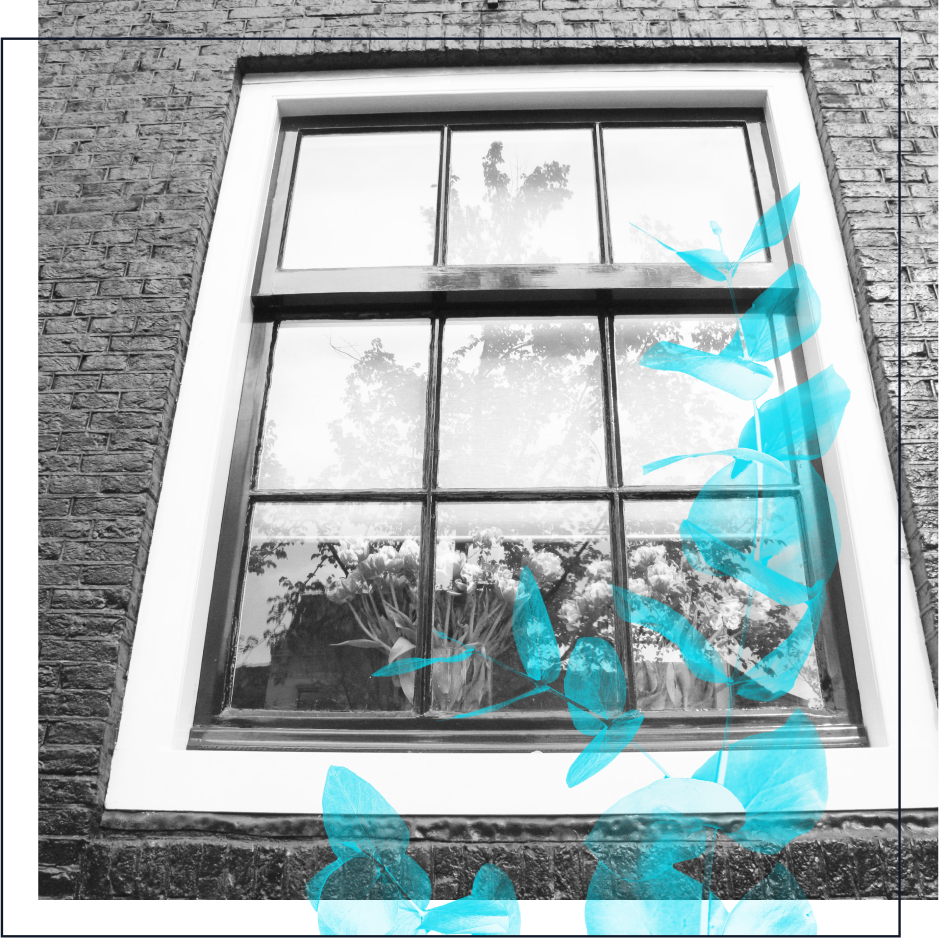 image montage photo fenetre plante